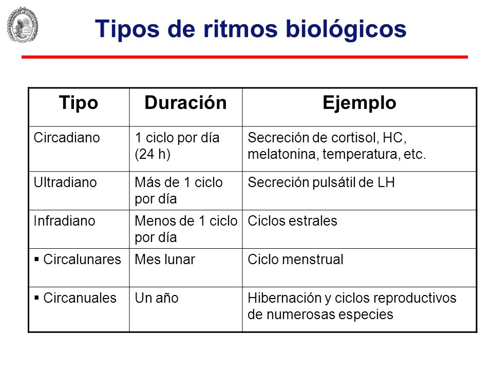 Ejemplos de ritmos biologicos new arrivals
